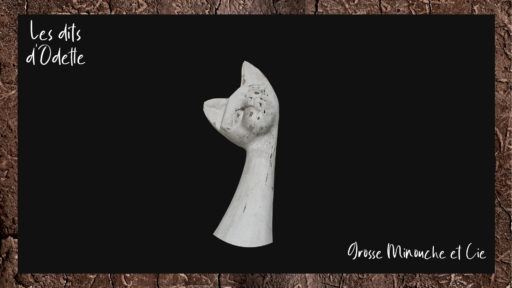 Grosse Minouche et Cie